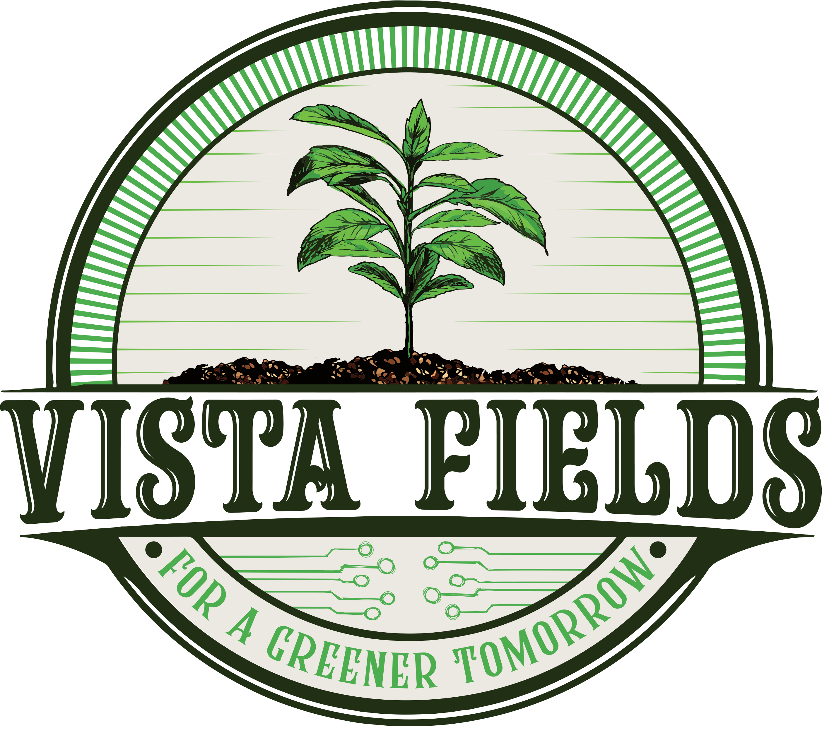 Developer Blog Vista Fields